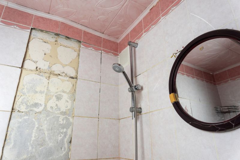 Shower Tile Waterproofing in Boise, ID